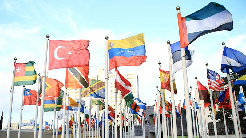 Elka Bayrak, dünya bayrakları üretimi