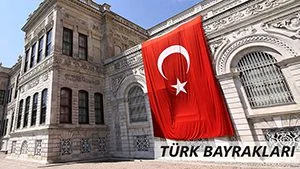 Türk Bayrağı çeşitleri